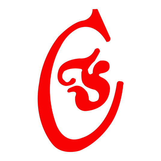 青岛飞洋职业技术学院LOGO